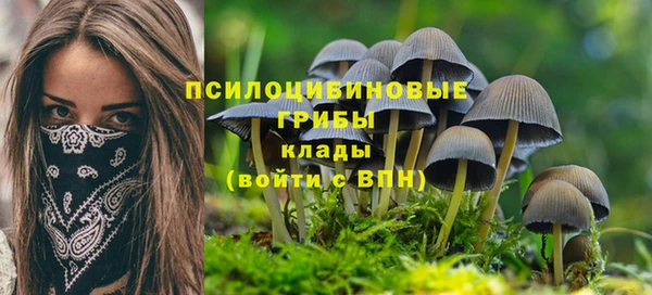 винт Беломорск